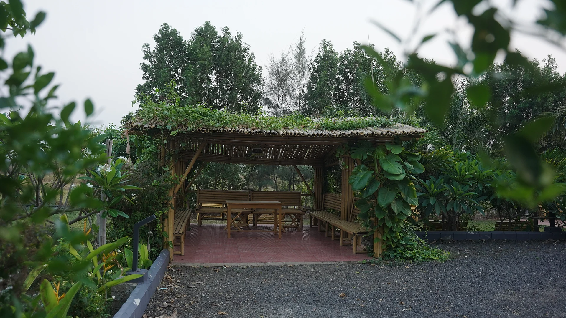 Activities and outdoor experiences at Singh Estate Resort Tadoba