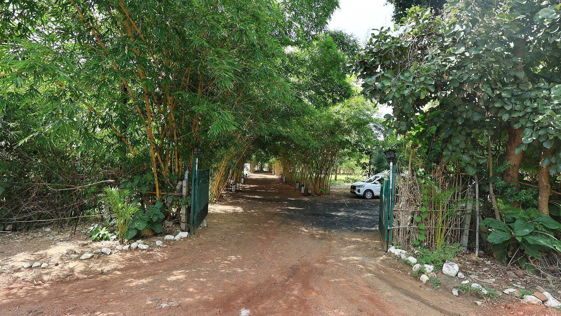 Activities and outdoor experiences at Tadoba Safari Stay Resort
