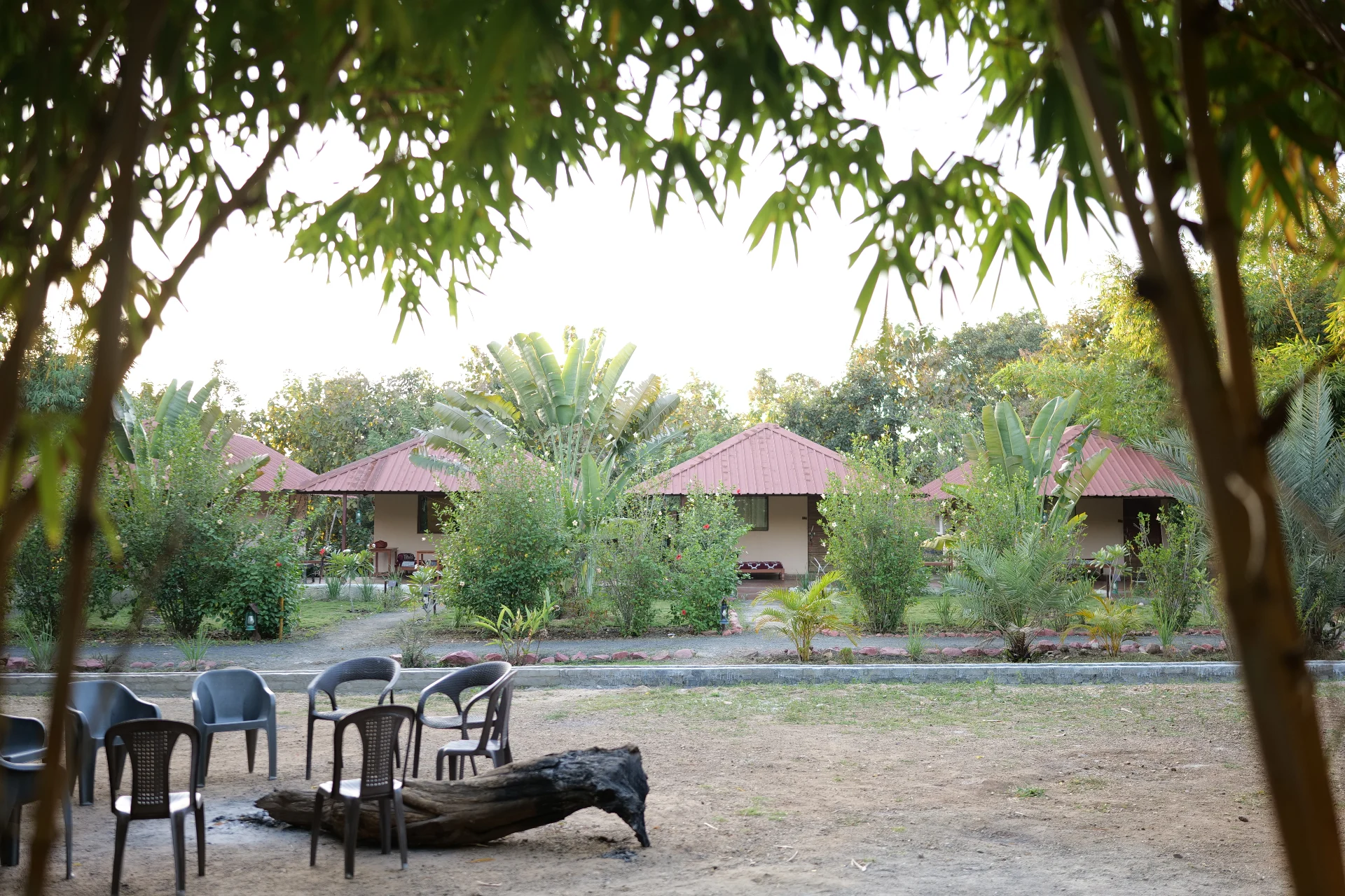 Experiences at Tadoba Safari Stay Resort