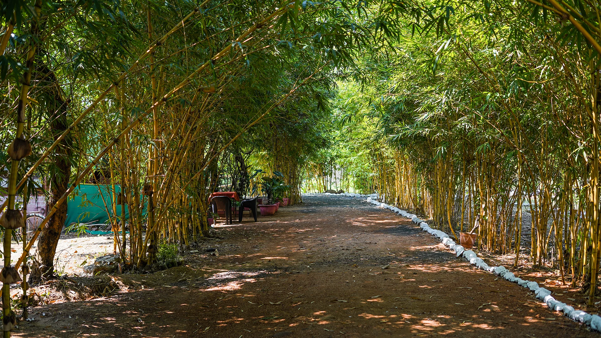 Near Tadoba Safari Stay Resort