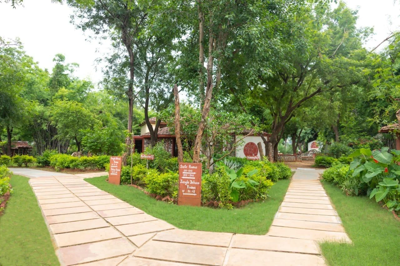 Tiger Moon Resort Ranthambore \u{2014} jungle stay in Ranthambore, Rajasthan