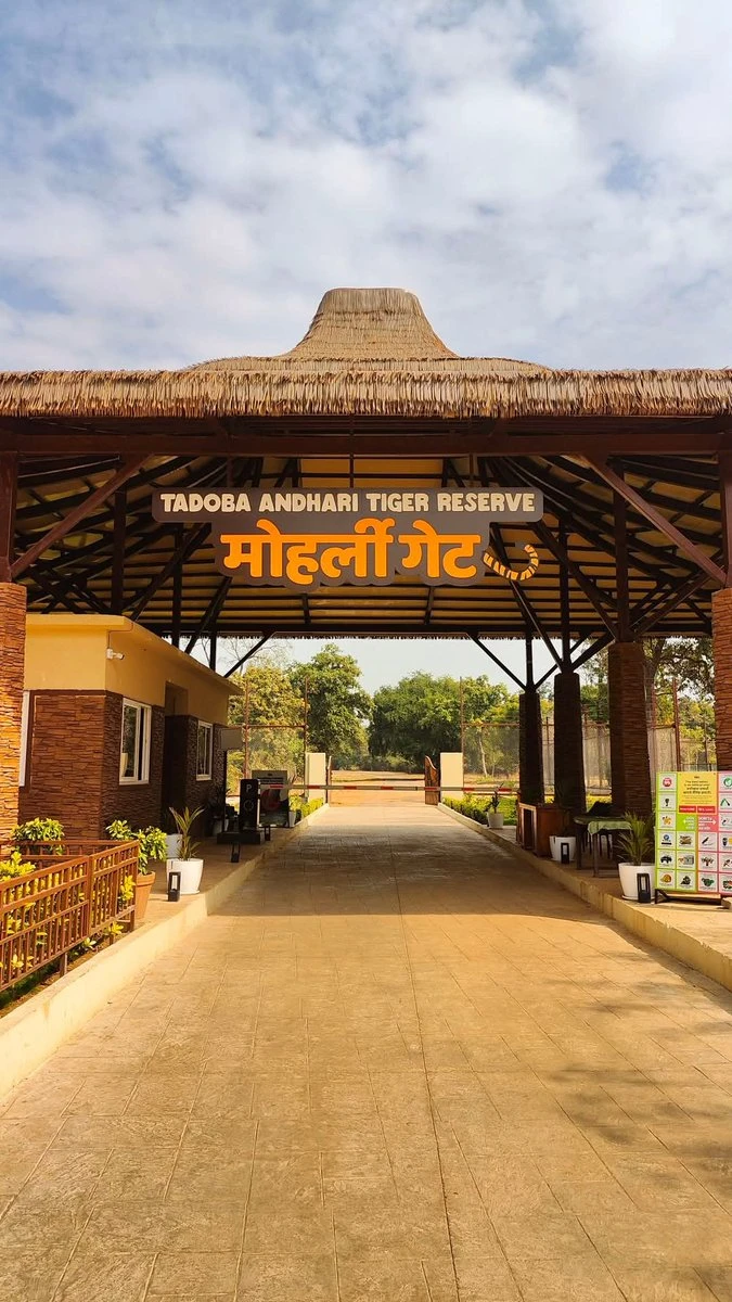 Path near the safari gates of Tadoba Safari Stay Resort