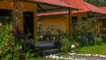 Nature's Sprout resort in Tadoba Andhari Tiger Reserve