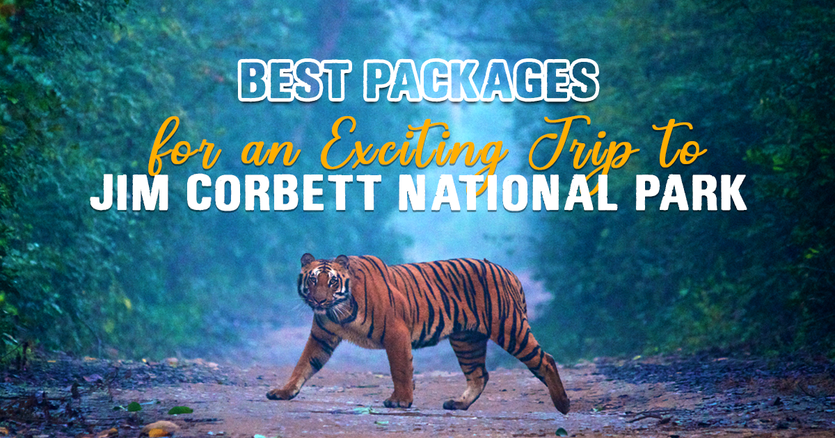 The Best Packages of Jim Corbett