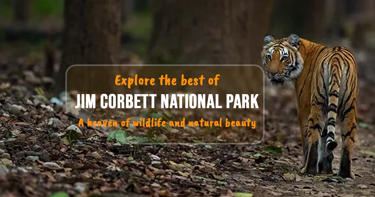 The best of Jim Corbett