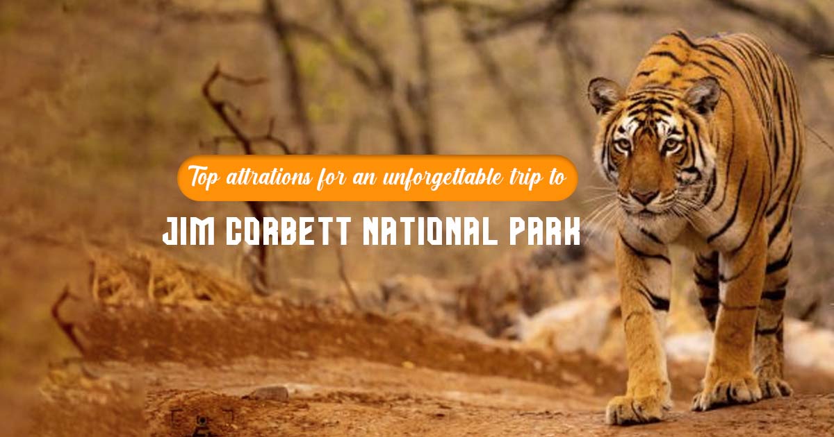 Trip To Jim corbett