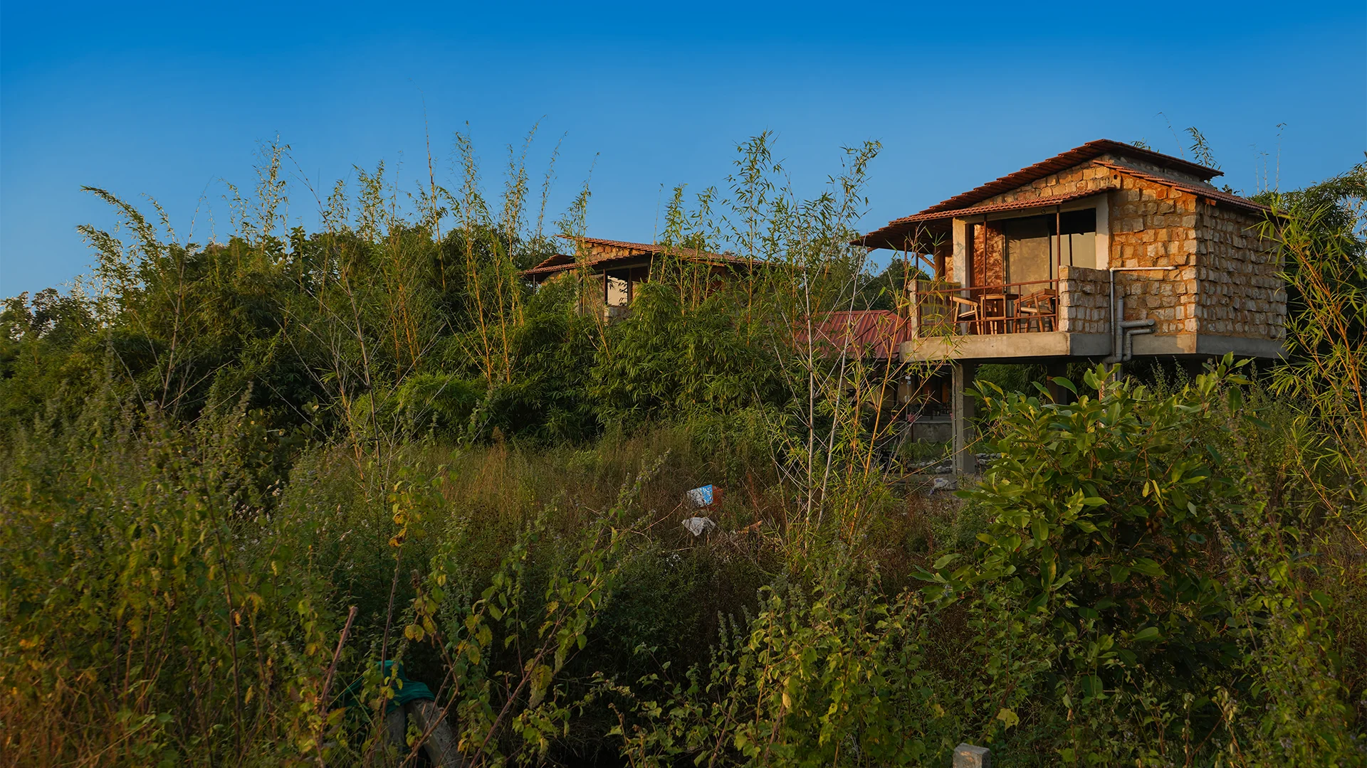 Exterior view of the Luxury Machaan Cottage at Tadoba Safari Stay